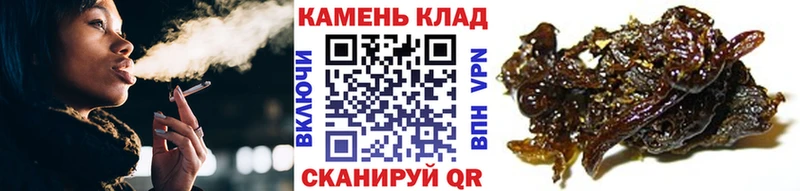 ГАШИШ Cannabis  Данилов 