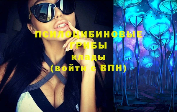 шишки Алзамай