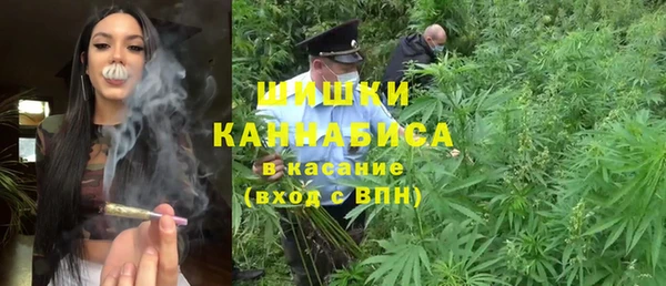 шишки Алзамай