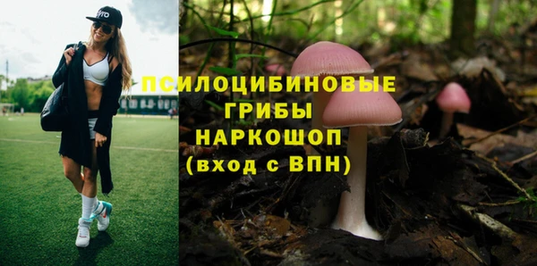 сатива Алексеевка