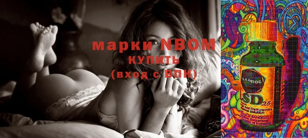 шишки Алзамай