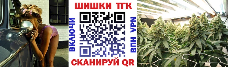 Бошки Шишки MAZAR Данилов